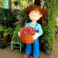 altTitle