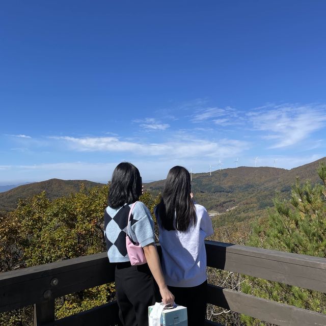 겨울에는 스키타고, 가을에는 인생샷 남기는 휘닉스 평창