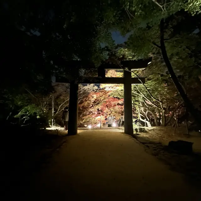 【太宰府】竈門神社の紅葉ライトアップ🍁