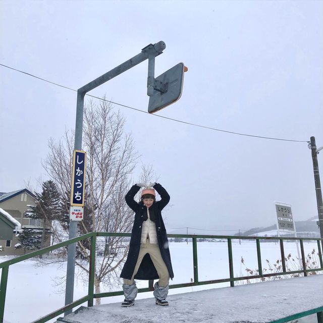 오겡끼데스까~👋🏻한겨울에 꼭가봐야할 삿포로 비에이 !