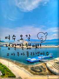 어른들도 신나는 바다속나라🐳아쿠아플라넷 여수🐠
