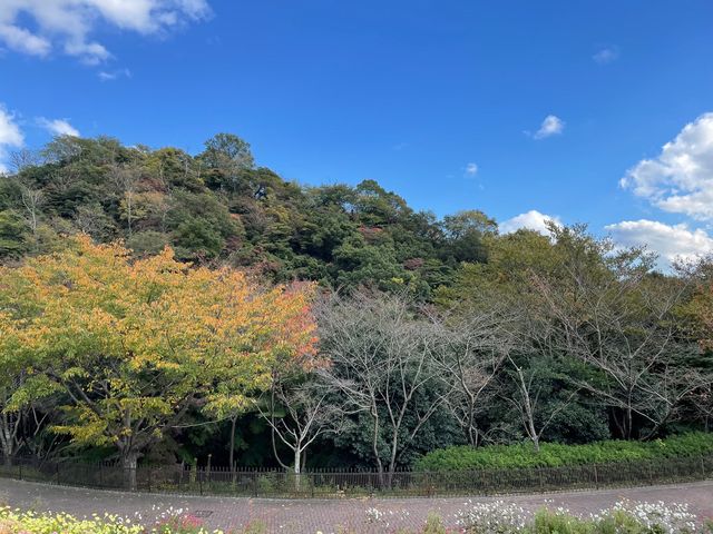 四季を楽しむ、神戸ハーブ園🌿