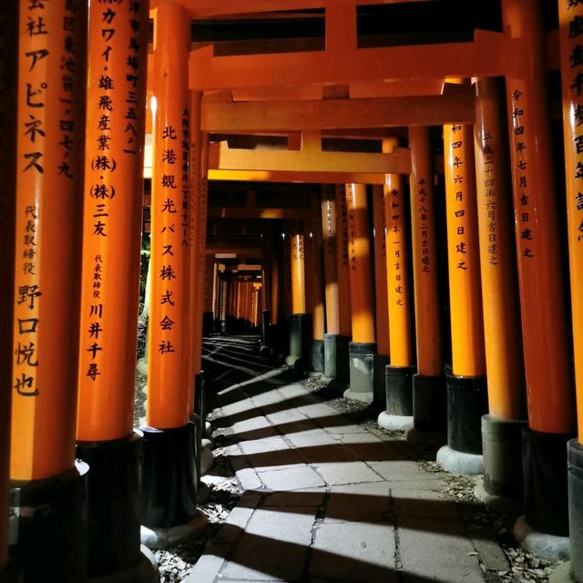 Exploring kyoto by night 🌙