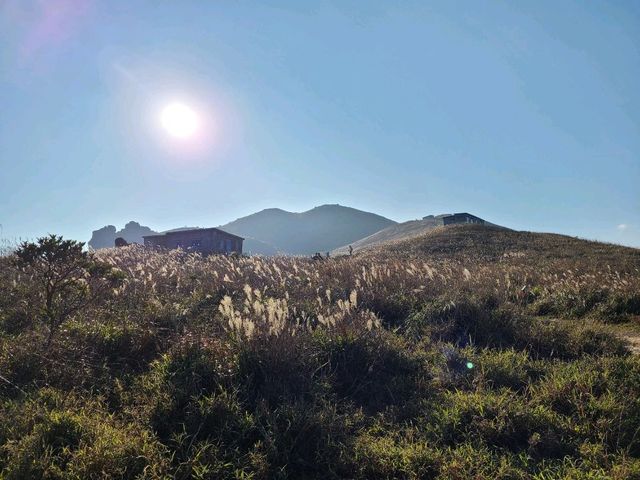 【秋冬賞芒系列~大東山🌾】