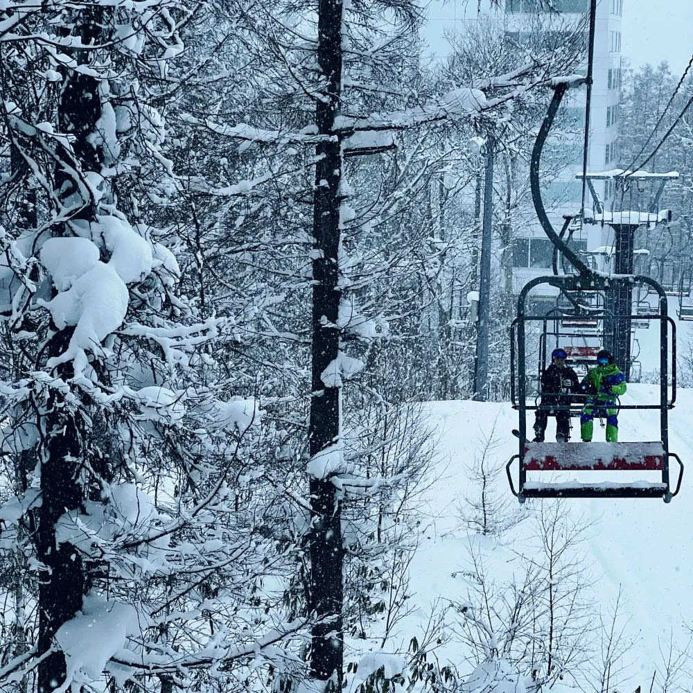 新雪谷 - 最佳粉雪和滑雪勝地