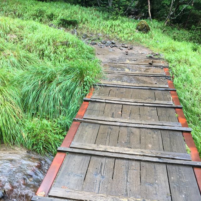 八ヶ岳下山道中