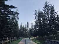 Morning Stroll In Nature.👣