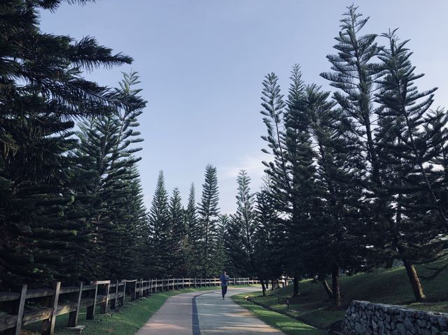 Morning Stroll In Nature.👣