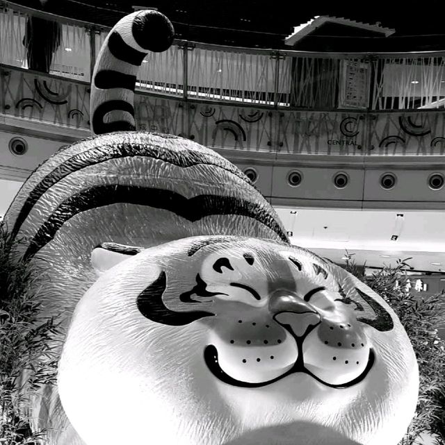 萌虎猛虎！我不是胖虎！