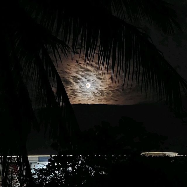 takip silim fullmoon