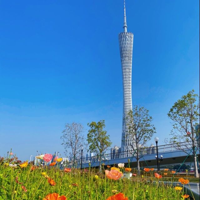 三月，在與鮮花爭春的廣州塔上吃喝玩樂