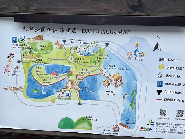 大湖公園散步去｜還可以看到好多的鳥、鵝、鴨😄