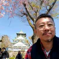 Cherry Blossoms at Osaka