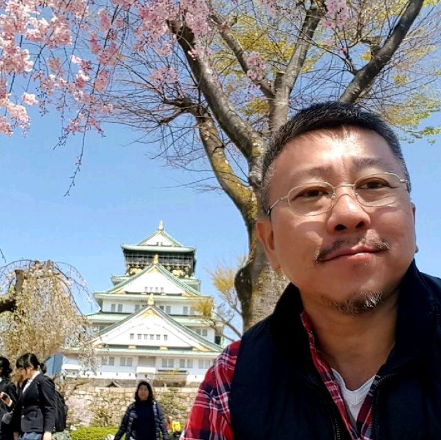 Cherry Blossoms at Osaka