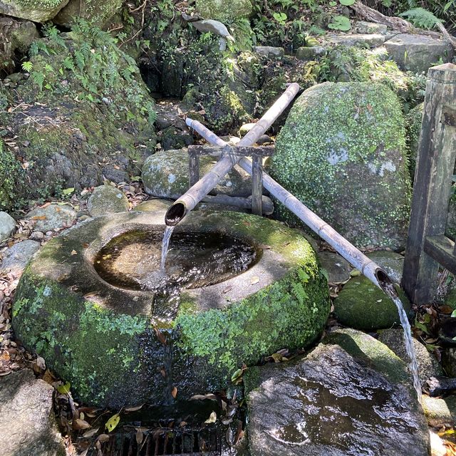 【屋久島】山河湧水