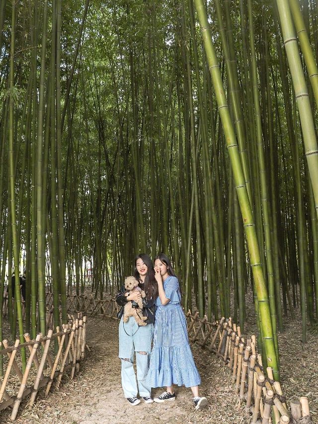 가볍게 산책하기 좋은 #태화강국가정원 🌿 