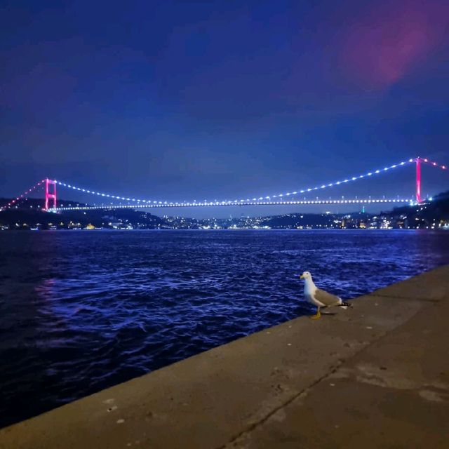 터키 이스탄불!