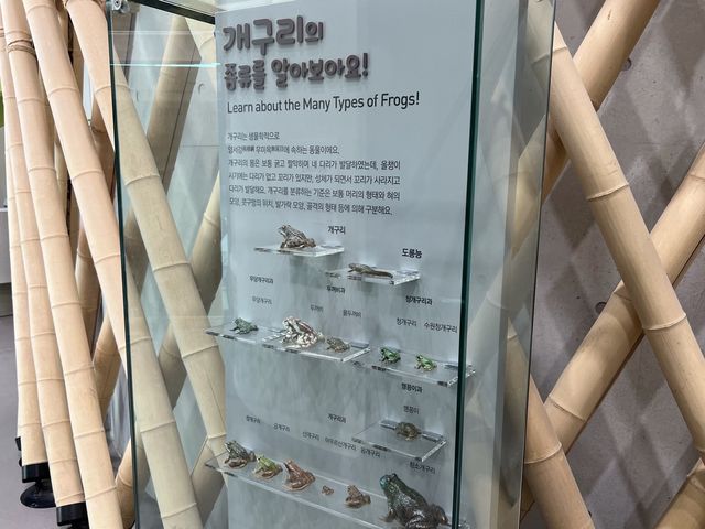 담양 개구리생태공원