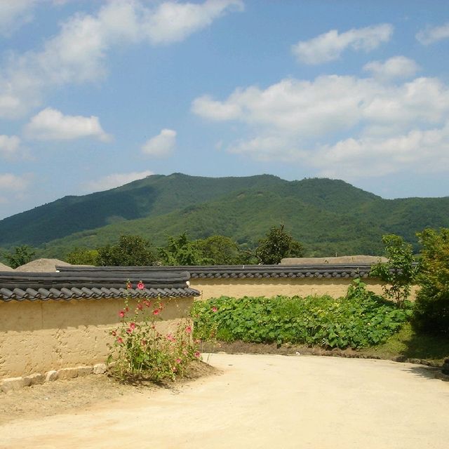 안동하회마을 봄여행
