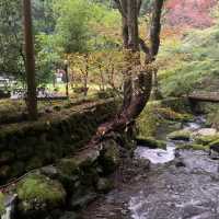福井県にある永平寺にやってきた！