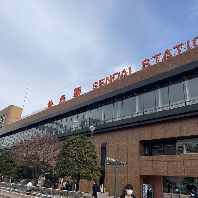 美味しい！綺麗！仙台・松島旅！