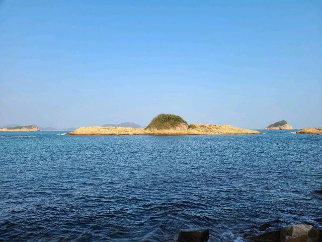 非一般綠蛋島🏝️