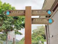 大潭水塘全走