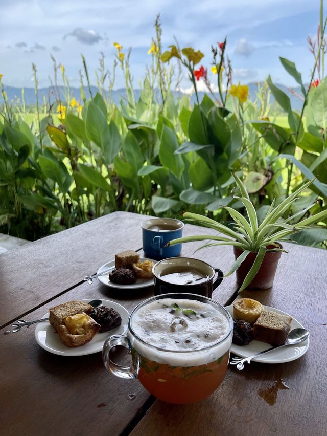 Little Tea Farm @ Balik Pulau, Penang