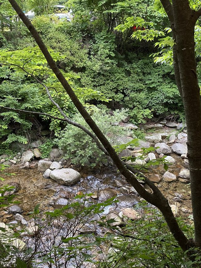 더위를 피할수있는 지리산 뱀사골!