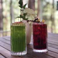 A farm-to-table bistro in Dalat! 