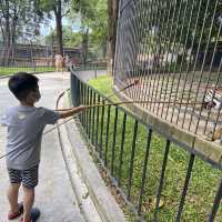Hua Hin Safari Adventure Park