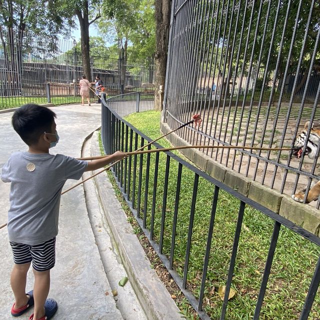 Hua Hin Safari Adventure Park