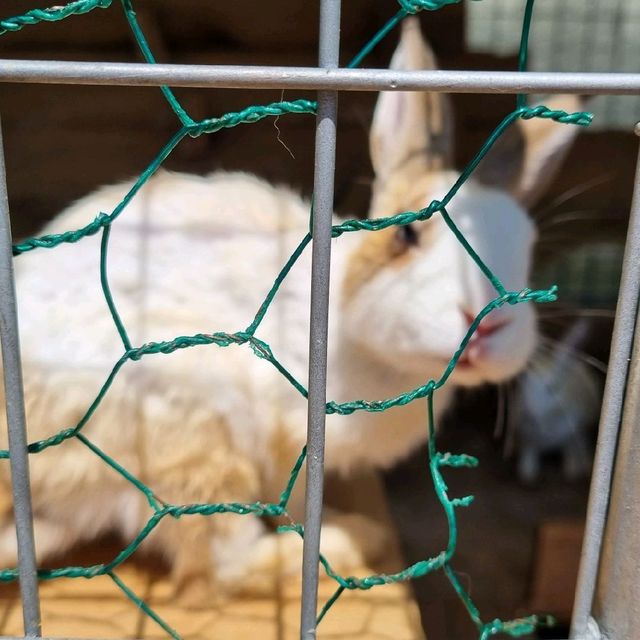 우영우가 데이트했던 고래카페, 김포 수산공원