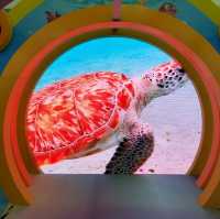 大埔超級城 - 海洋世界🐳🐋🐬