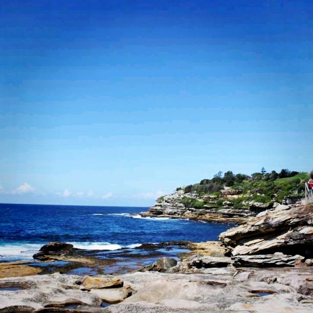 Bondi To Bronte Coastal Walk
