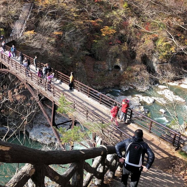 日本🇯🇵大自然之美‼️龍王峽