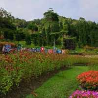 สวนดอกไม้เมืองหนาวแดนใต้