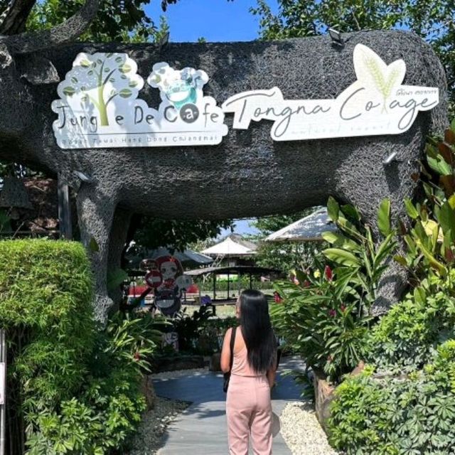 Jungle De Cafe’ buffalo island " เชียงใหม่