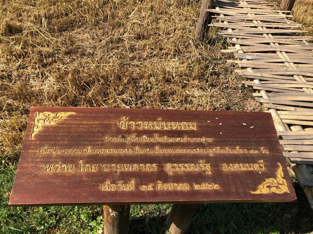 สะพานบุญโขกู้สุ่ย หมู่บ้านแพมบก ปาย
