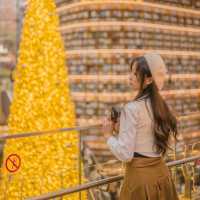 🎄거대한 황금빛 트리를 만날 수 있는 외국감성 도서관 [서울, 별마당도서관]