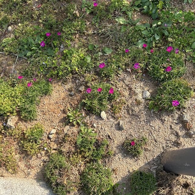 당진 산책하기 좋은 합덕 성당