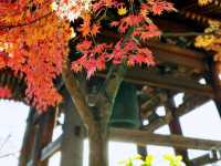 真正極楽寺 (真如堂)