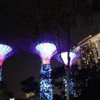旅遊推介 新加坡🇸🇬站SupertreeGrove