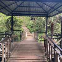 キャメロンハイランドの中心部から気軽に行けるハイキングコース　Taman Eko Rimba Parit Falls H