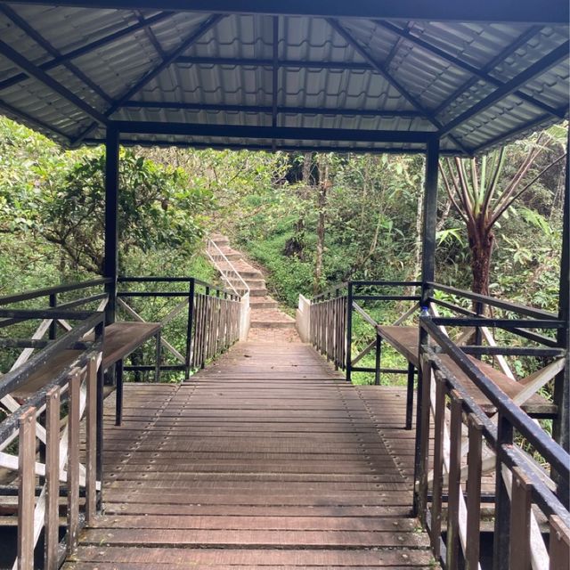 キャメロンハイランドの中心部から気軽に行けるハイキングコース　Taman Eko Rimba Parit Falls H