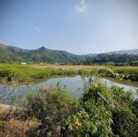 鹿頸