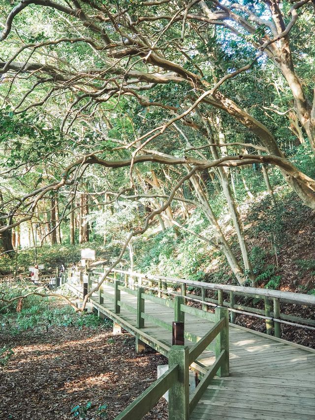 茨城県立歴史館