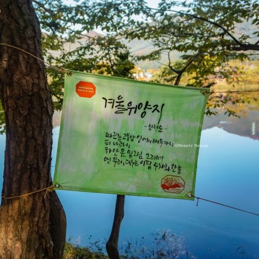 그림 속에 들어온 것 같은 위양지 