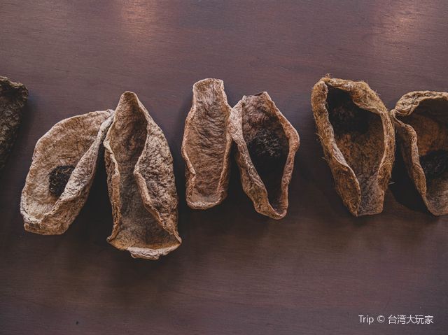 桃園大溪老茶廠｜想拍復古風的照片來這裡就對了🤟🏻
