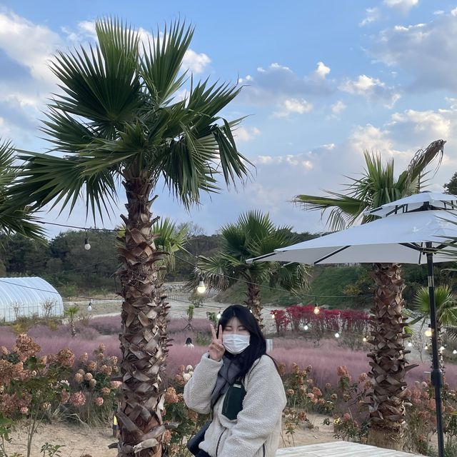 강원도 강릉시 호린파크에서 해외를 느껴보세요